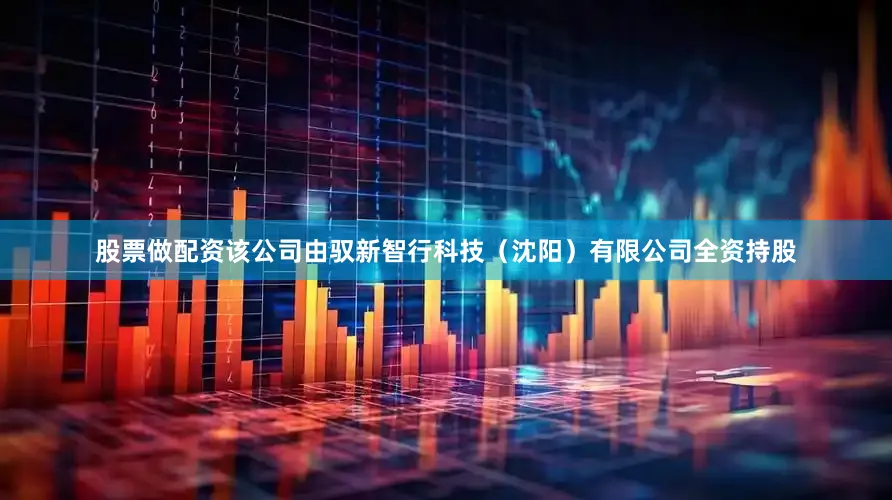 股票做配资该公司由驭新智行科技（沈阳）有限公司全资持股
