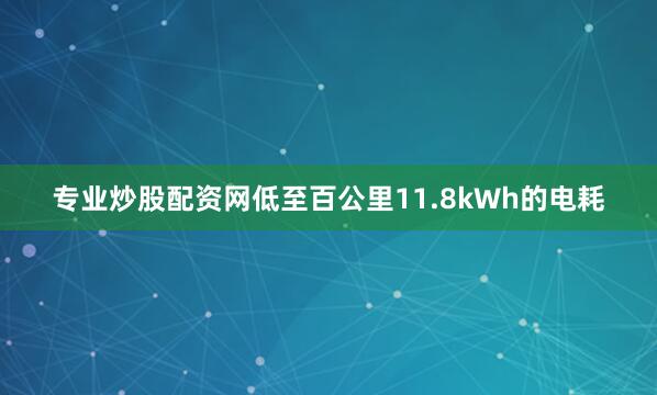 专业炒股配资网低至百公里11.8kWh的电耗